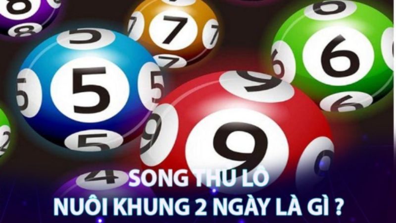 Trực tiếp bóng đá hôm nay、Cược vô địch World Cup、Tỷ lệ kèo WC、Nhận định WC、Kèo thơm