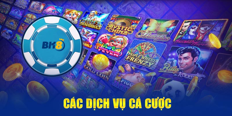 Trực tiếp bóng đá hôm nay、Cược vô địch World Cup、Tỷ lệ kèo WC、Nhận định WC、Kèo thơm