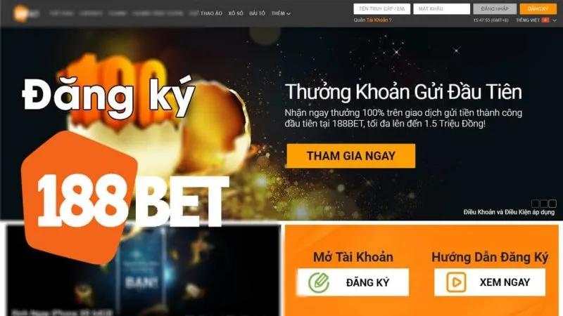 Trực tiếp bóng đá hôm nay、Cược vô địch World Cup、Tỷ lệ kèo WC、Nhận định WC、Kèo thơm