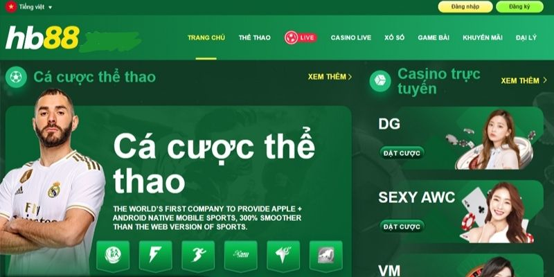 Trực tiếp bóng đá hôm nay、Cược vô địch World Cup、Tỷ lệ kèo WC、Nhận định WC、Kèo thơm