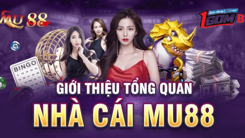 Trực tiếp bóng đá hôm nay、Cược vô địch World Cup、Tỷ lệ kèo WC、Nhận định WC、Kèo thơm