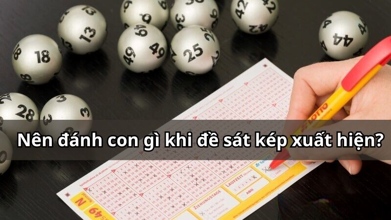 Trực tiếp bóng đá hôm nay、Cược vô địch World Cup、Tỷ lệ kèo WC、Nhận định WC、Kèo thơm