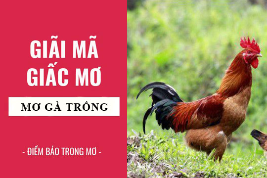 Trực tiếp bóng đá hôm nay、Cược vô địch World Cup、Tỷ lệ kèo WC、Nhận định WC、Kèo thơm