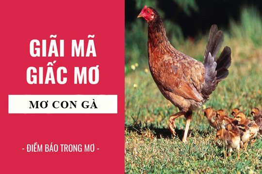 Trực tiếp bóng đá hôm nay、Cược vô địch World Cup、Tỷ lệ kèo WC、Nhận định WC、Kèo thơm