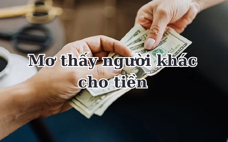 Trực tiếp bóng đá hôm nay、Cược vô địch World Cup、Tỷ lệ kèo WC、Nhận định WC、Kèo thơm