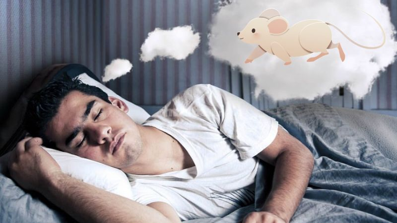 Trực tiếp bóng đá hôm nay、Cược vô địch World Cup、Tỷ lệ kèo WC、Nhận định WC、Kèo thơm