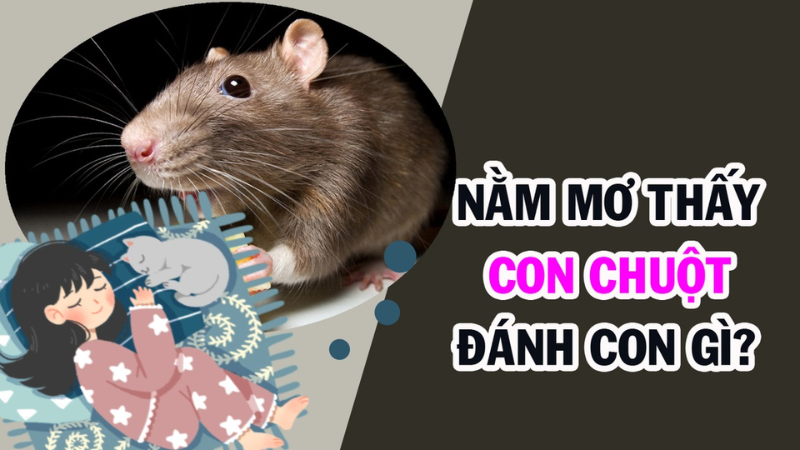 Trực tiếp bóng đá hôm nay、Cược vô địch World Cup、Tỷ lệ kèo WC、Nhận định WC、Kèo thơm