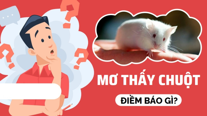 Trực tiếp bóng đá hôm nay、Cược vô địch World Cup、Tỷ lệ kèo WC、Nhận định WC、Kèo thơm