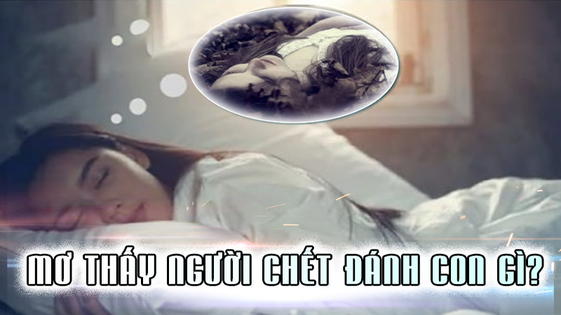 Trực tiếp bóng đá hôm nay、Cược vô địch World Cup、Tỷ lệ kèo WC、Nhận định WC、Kèo thơm