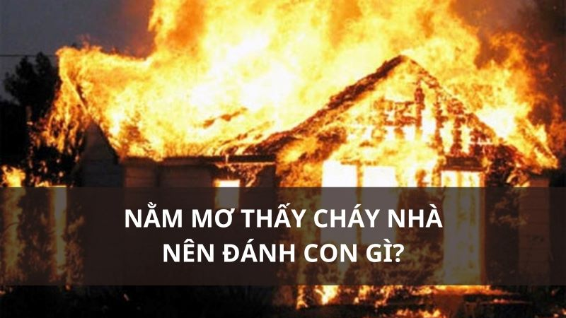 Trực tiếp bóng đá hôm nay、Cược vô địch World Cup、Tỷ lệ kèo WC、Nhận định WC、Kèo thơm