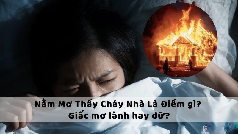 Trực tiếp bóng đá hôm nay、Cược vô địch World Cup、Tỷ lệ kèo WC、Nhận định WC、Kèo thơm