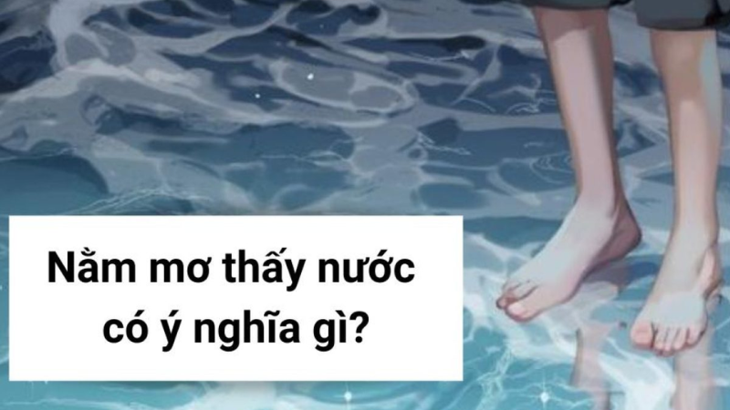 Trực tiếp bóng đá hôm nay、Cược vô địch World Cup、Tỷ lệ kèo WC、Nhận định WC、Kèo thơm