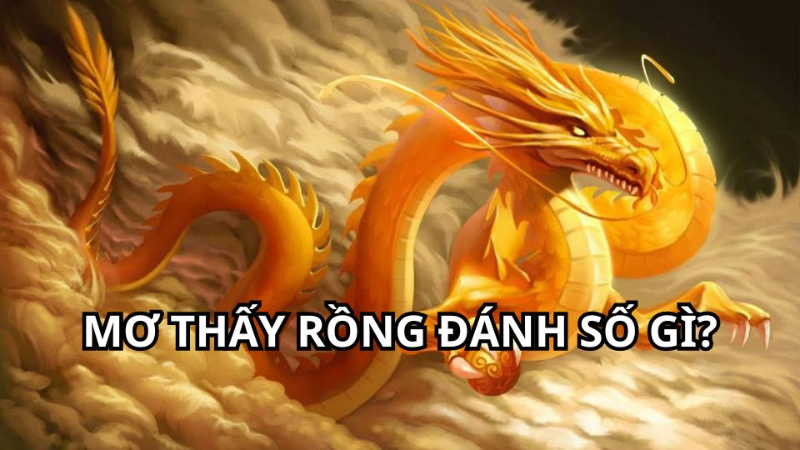 Trực tiếp bóng đá hôm nay、Cược vô địch World Cup、Tỷ lệ kèo WC、Nhận định WC、Kèo thơm