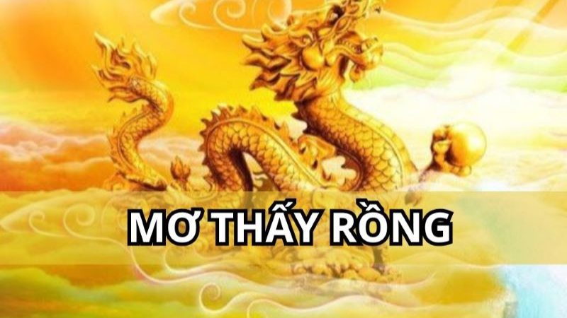 Trực tiếp bóng đá hôm nay、Cược vô địch World Cup、Tỷ lệ kèo WC、Nhận định WC、Kèo thơm