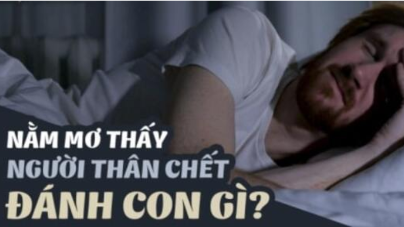 Trực tiếp bóng đá hôm nay、Cược vô địch World Cup、Tỷ lệ kèo WC、Nhận định WC、Kèo thơm