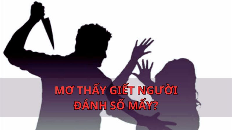 Trực tiếp bóng đá hôm nay、Cược vô địch World Cup、Tỷ lệ kèo WC、Nhận định WC、Kèo thơm