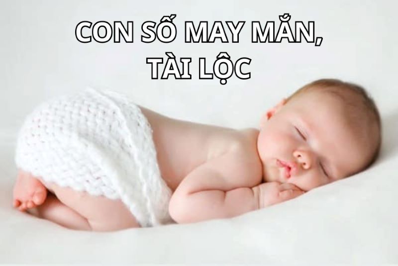 Trực tiếp bóng đá hôm nay、Cược vô địch World Cup、Tỷ lệ kèo WC、Nhận định WC、Kèo thơm