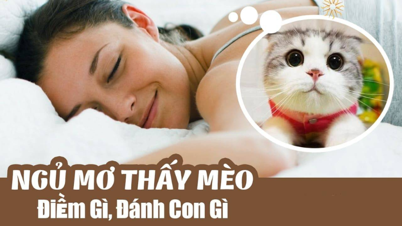 Trực tiếp bóng đá hôm nay、Cược vô địch World Cup、Tỷ lệ kèo WC、Nhận định WC、Kèo thơm