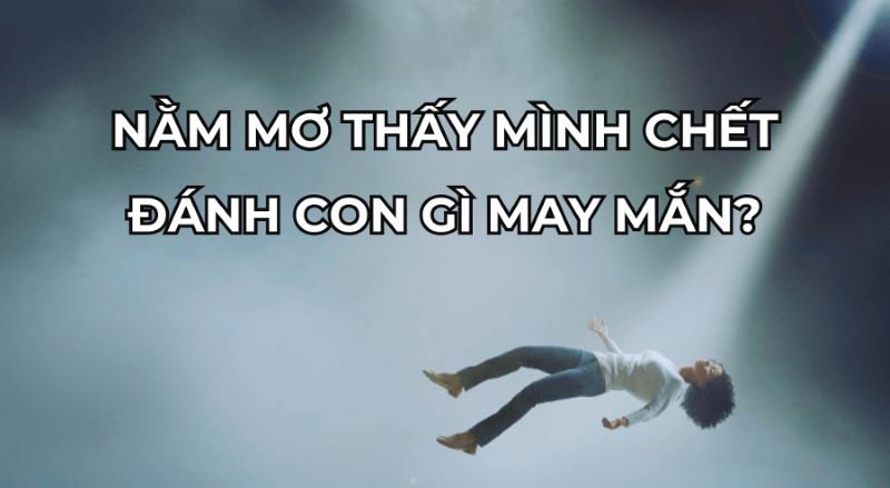 Trực tiếp bóng đá hôm nay、Cược vô địch World Cup、Tỷ lệ kèo WC、Nhận định WC、Kèo thơm