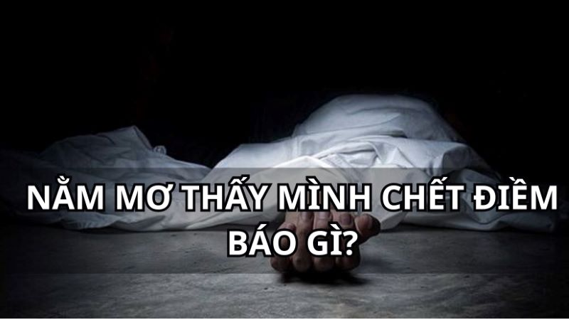 Trực tiếp bóng đá hôm nay、Cược vô địch World Cup、Tỷ lệ kèo WC、Nhận định WC、Kèo thơm