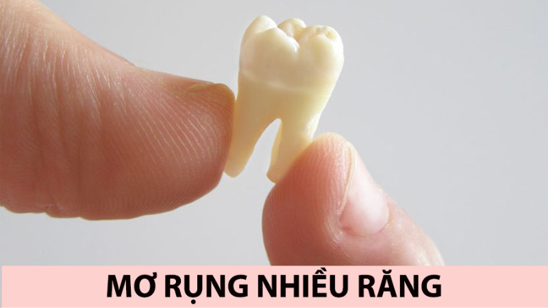 Trực tiếp bóng đá hôm nay、Cược vô địch World Cup、Tỷ lệ kèo WC、Nhận định WC、Kèo thơm