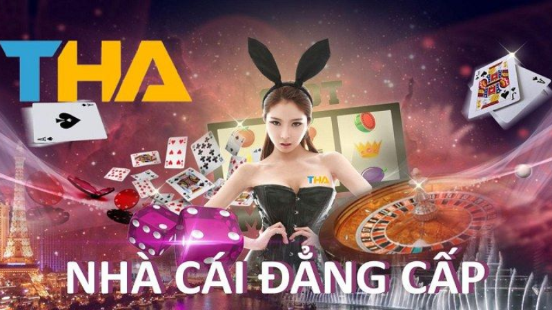 Trực tiếp bóng đá hôm nay、Cược vô địch World Cup、Tỷ lệ kèo WC、Nhận định WC、Kèo thơm