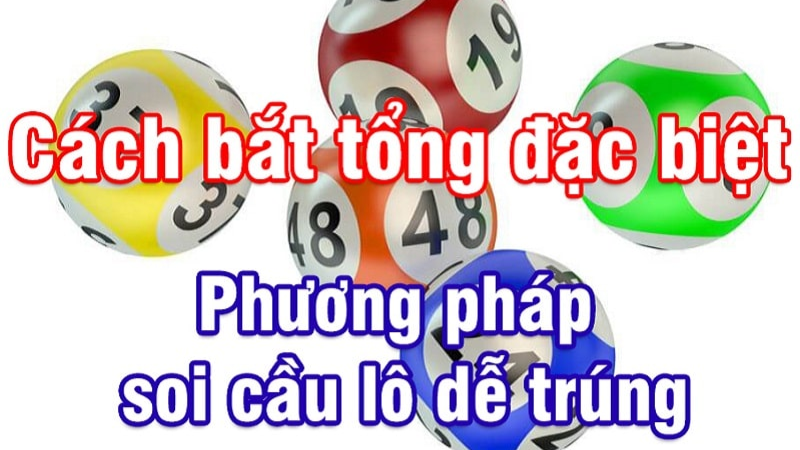 Trực tiếp bóng đá hôm nay、Cược vô địch World Cup、Tỷ lệ kèo WC、Nhận định WC、Kèo thơm