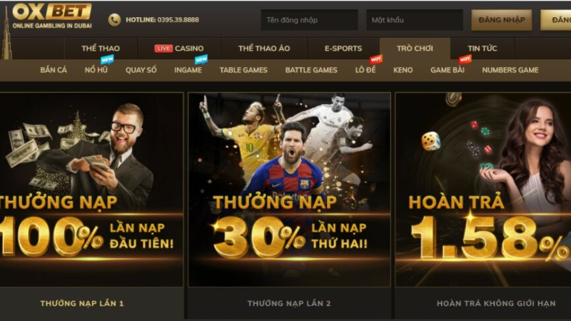 Trực tiếp bóng đá hôm nay、Cược vô địch World Cup、Tỷ lệ kèo WC、Nhận định WC、Kèo thơm